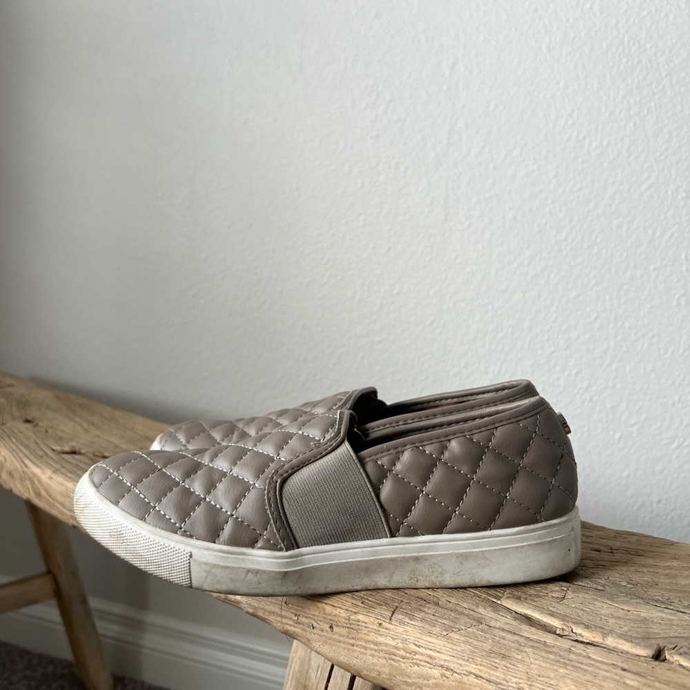 Steve Madden Women's Ecentrcq Sneaker
